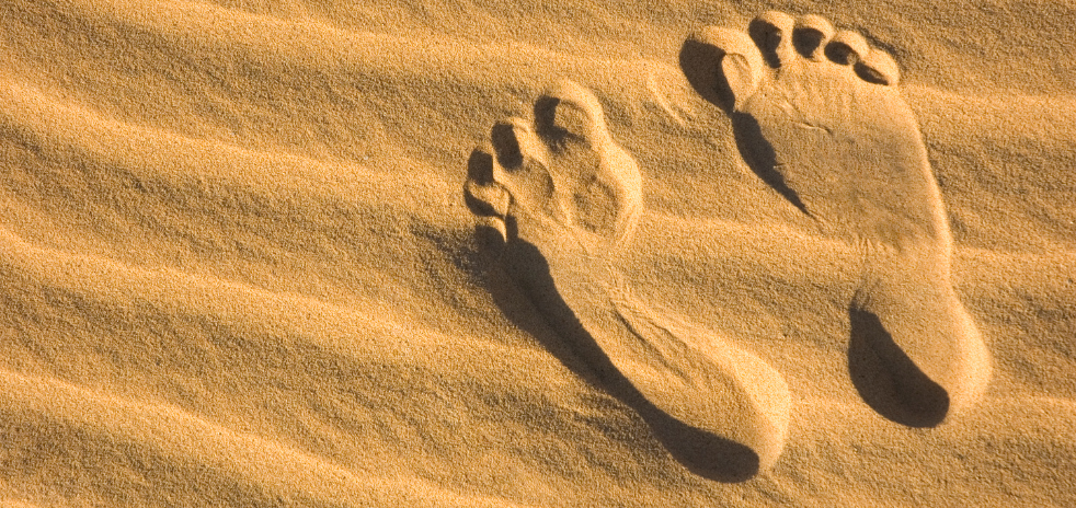 Vânia Moreira Diniz